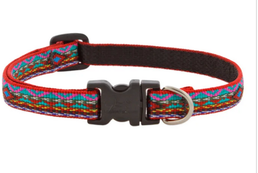 El Paso Dog Collars & Leads.