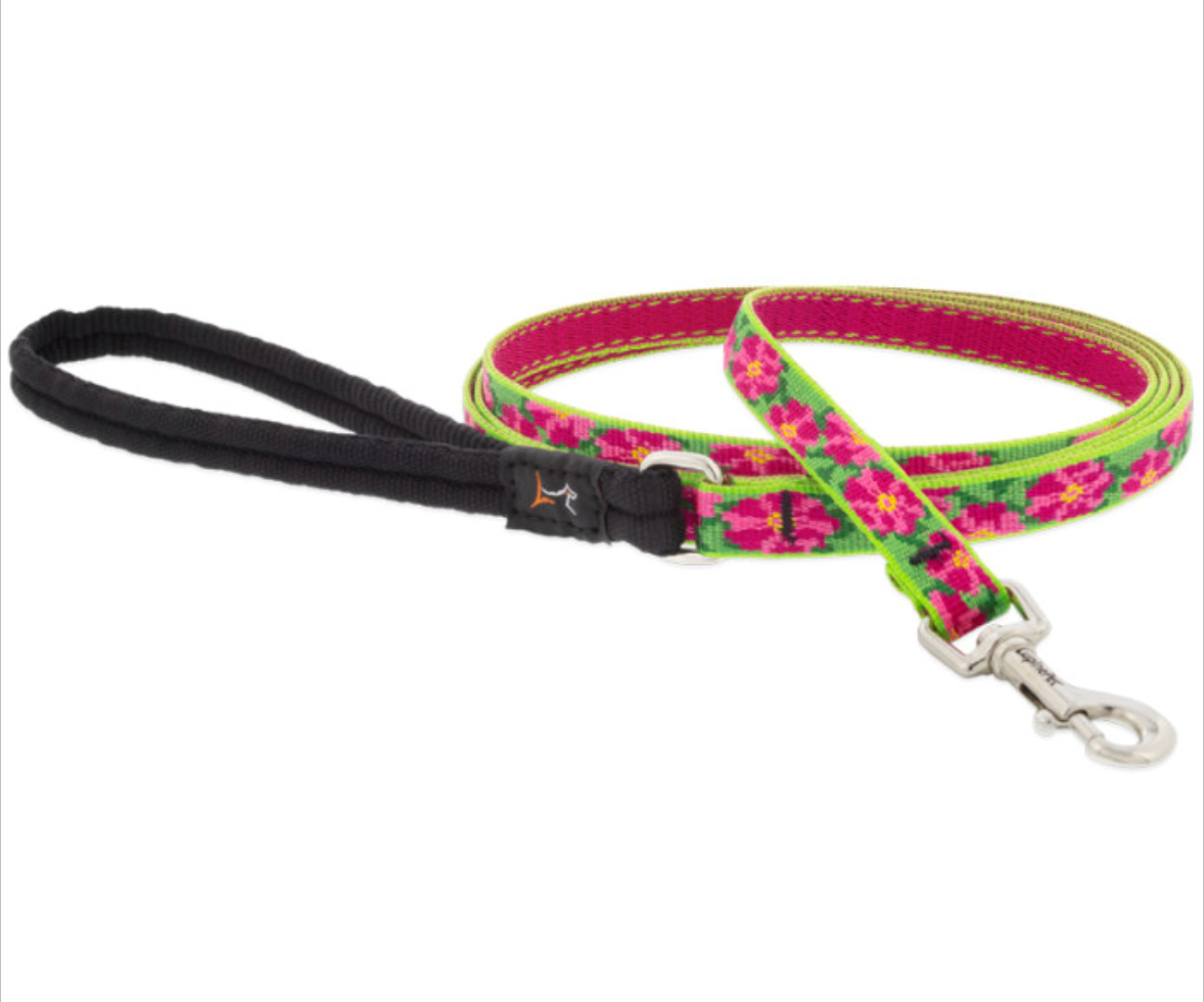 Petunias Dog Collars & Leads.