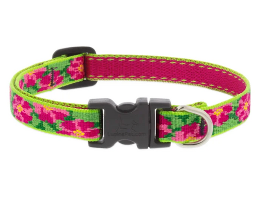 Petunias Dog Collars & Leads.