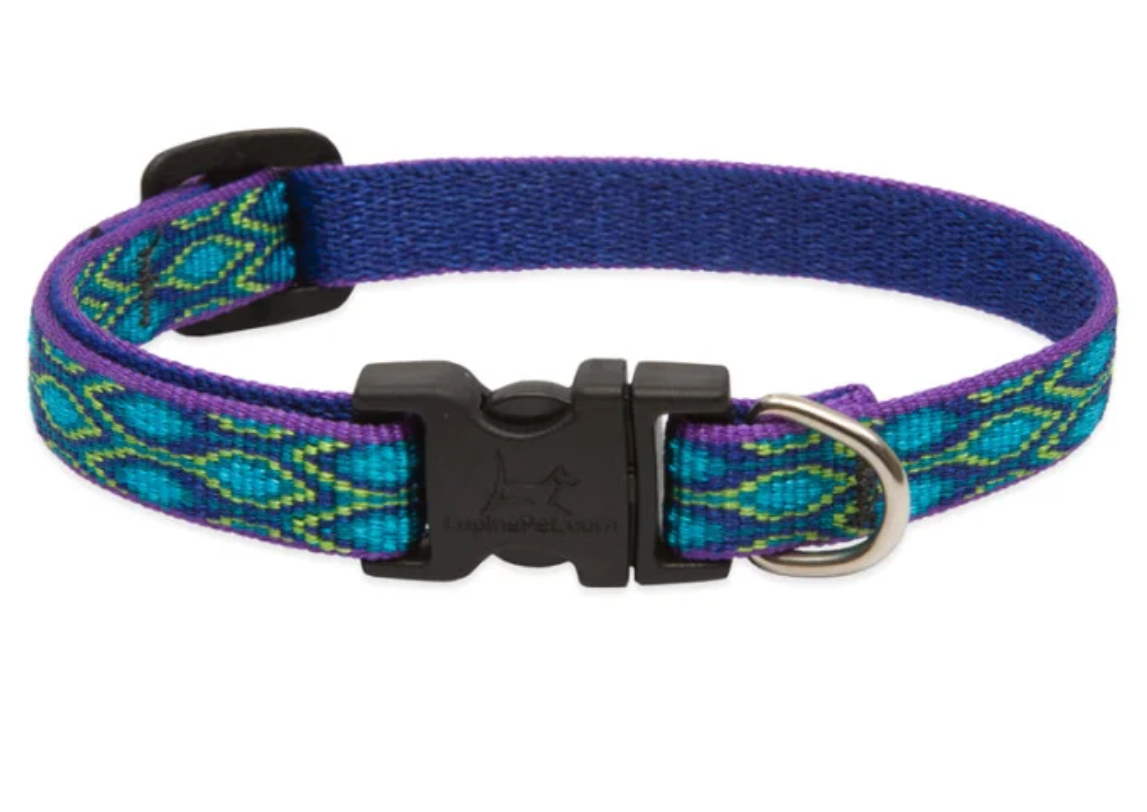 Rain Song Dog Collars & Leads.