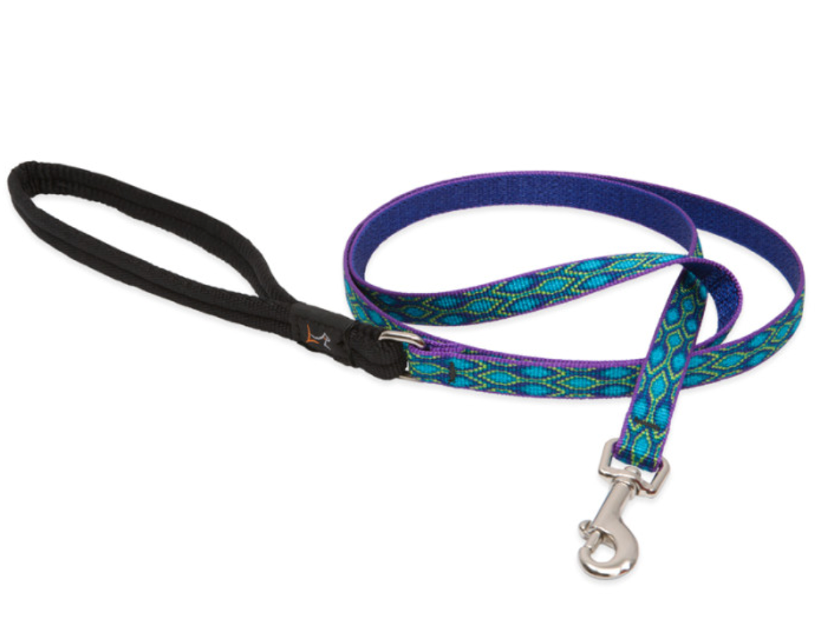 Rain Song Dog Collars & Leads.