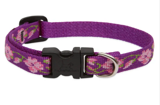 Rose Garden Dog Collars & Leads.