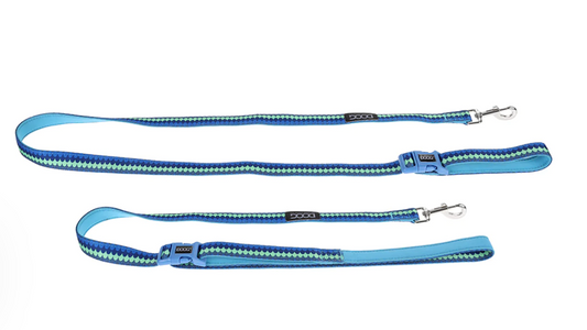 Pluto Dog Leads & Harness.