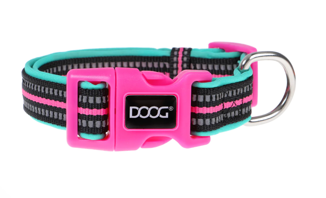 Rin Tin Tin (Neon) Dog Collars, Leads & Harness