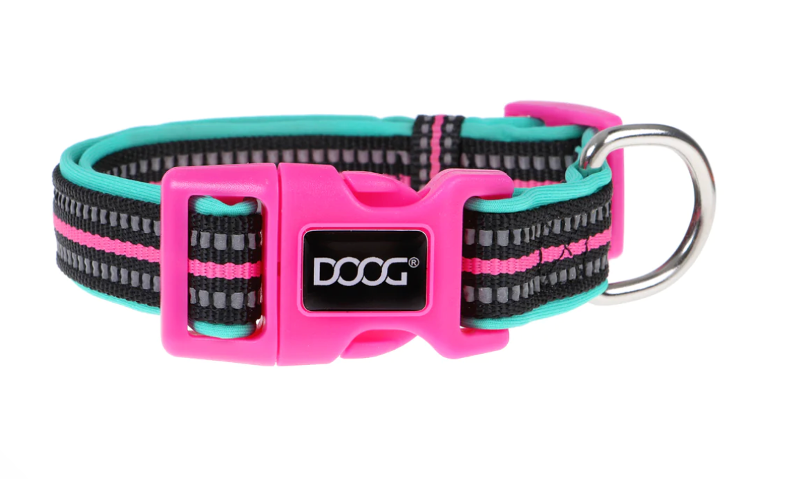 Rin Tin Tin (Neon) Dog Collars, Leads & Harness.