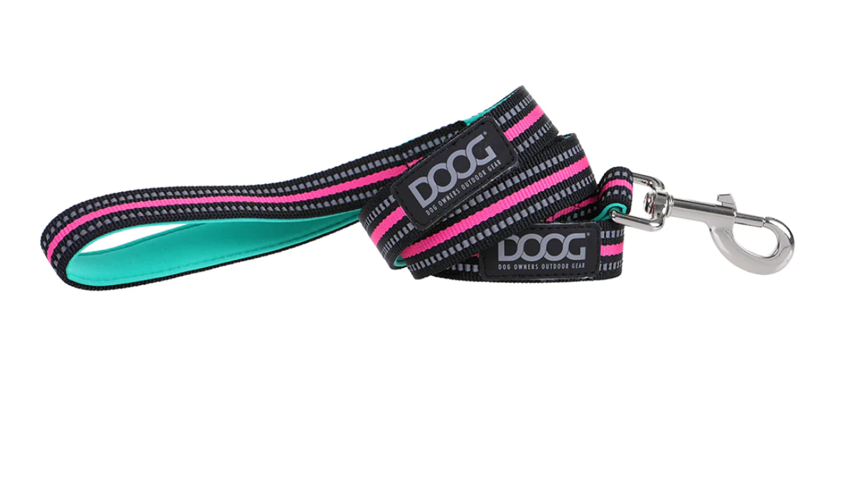 Rin Tin Tin (Neon) Dog Collars, Leads & Harness.