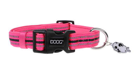 Lady (Neon) Dog Collars, & Leads.