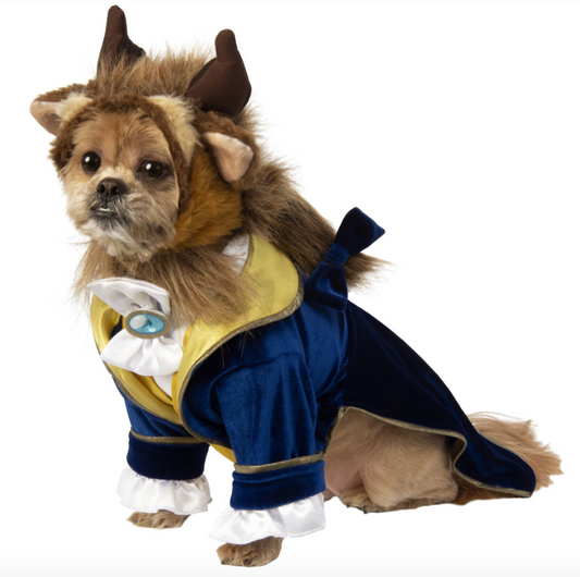 Beast Pet Costume.