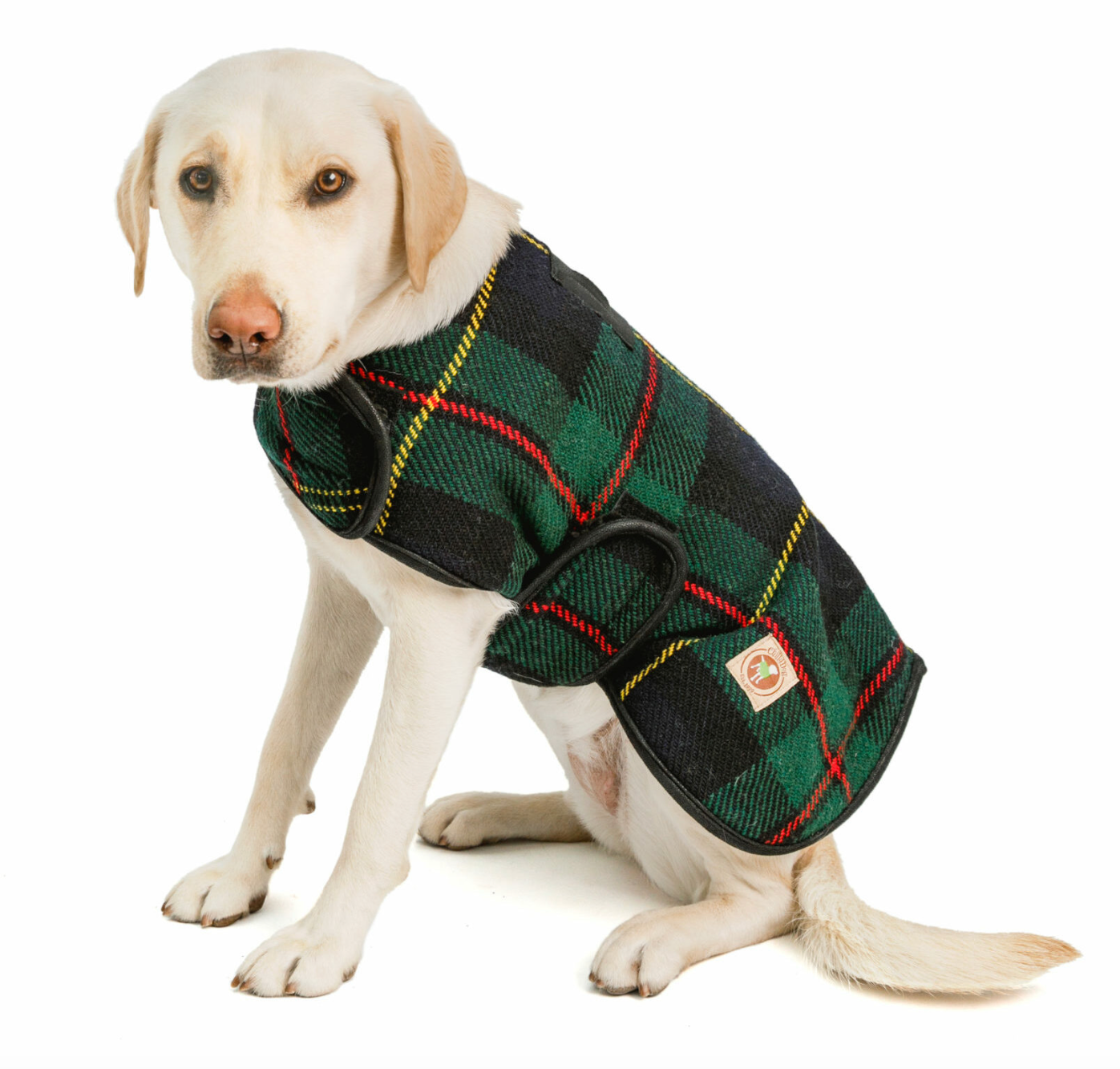 Navy Tartan Plaid Blanket Dog Coat