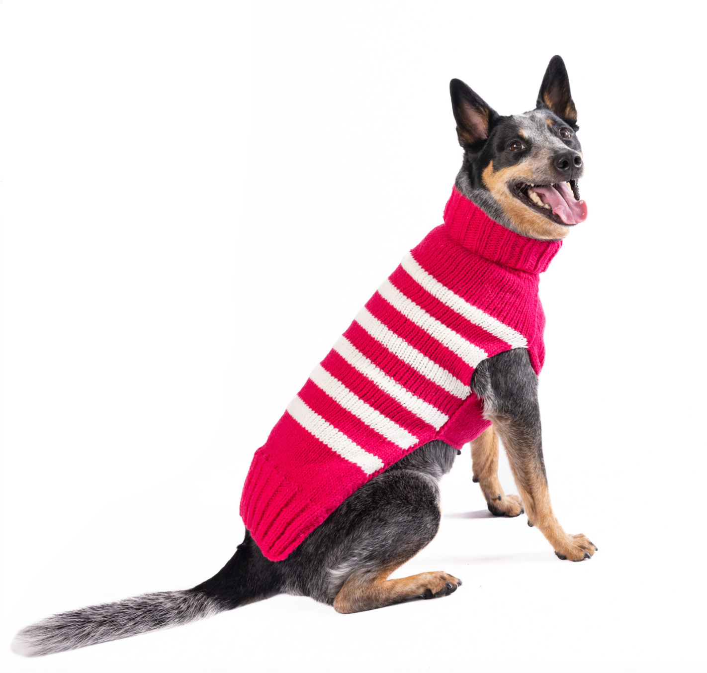 Katie Alpaca Stripe Dog Sweater.