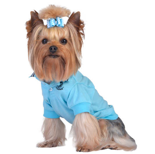 Turquoise Polo Pet Shirt.