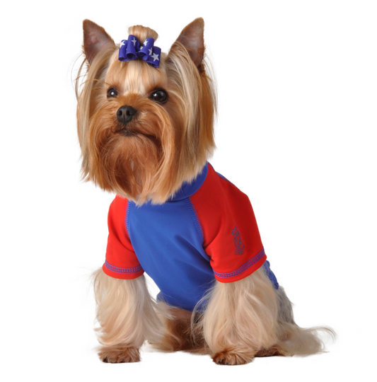 Royal Rash Guard Pet Shirt.