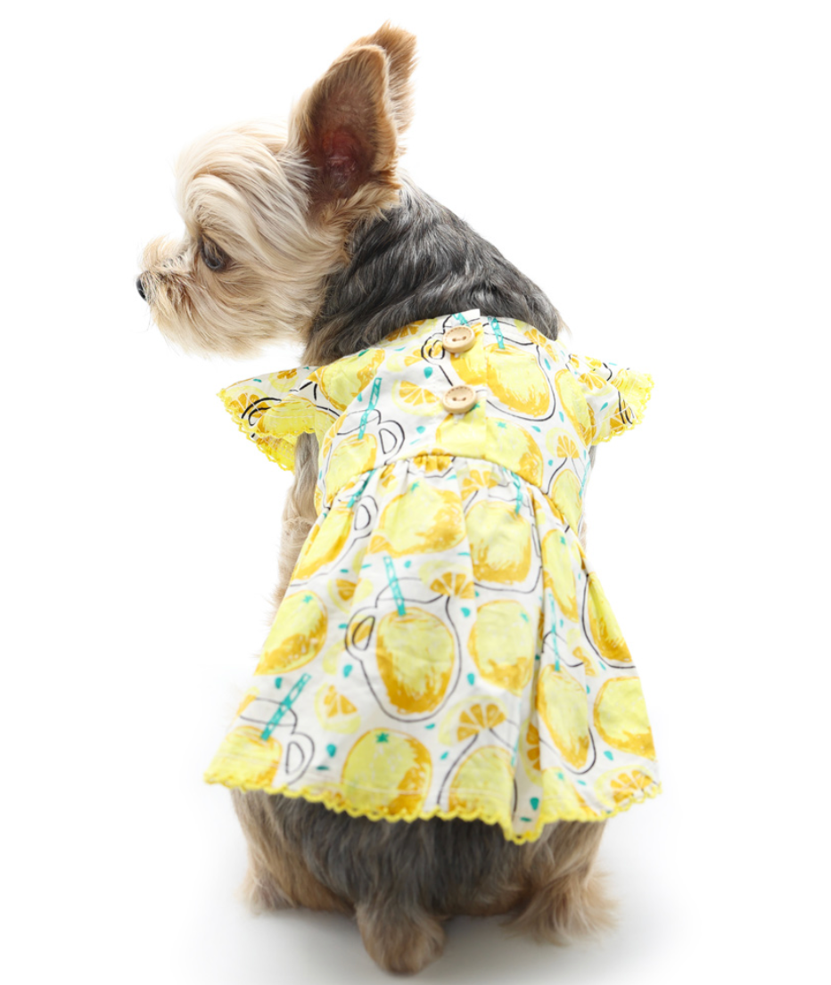 Sweet Lemonade Pet Dress.