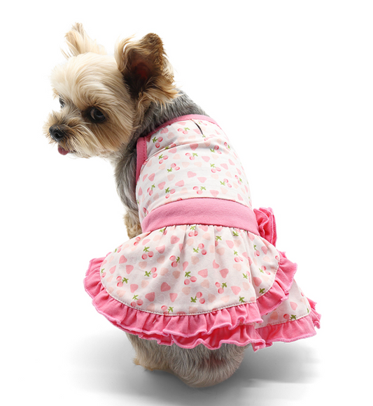 Cherish Heart Pet Dress.