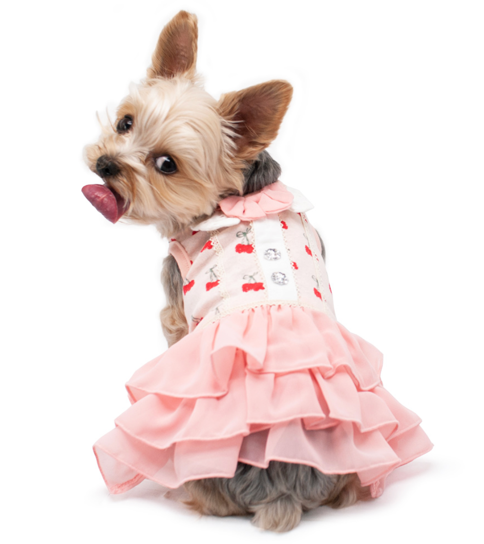 Cherish Cherry Pet Dress.