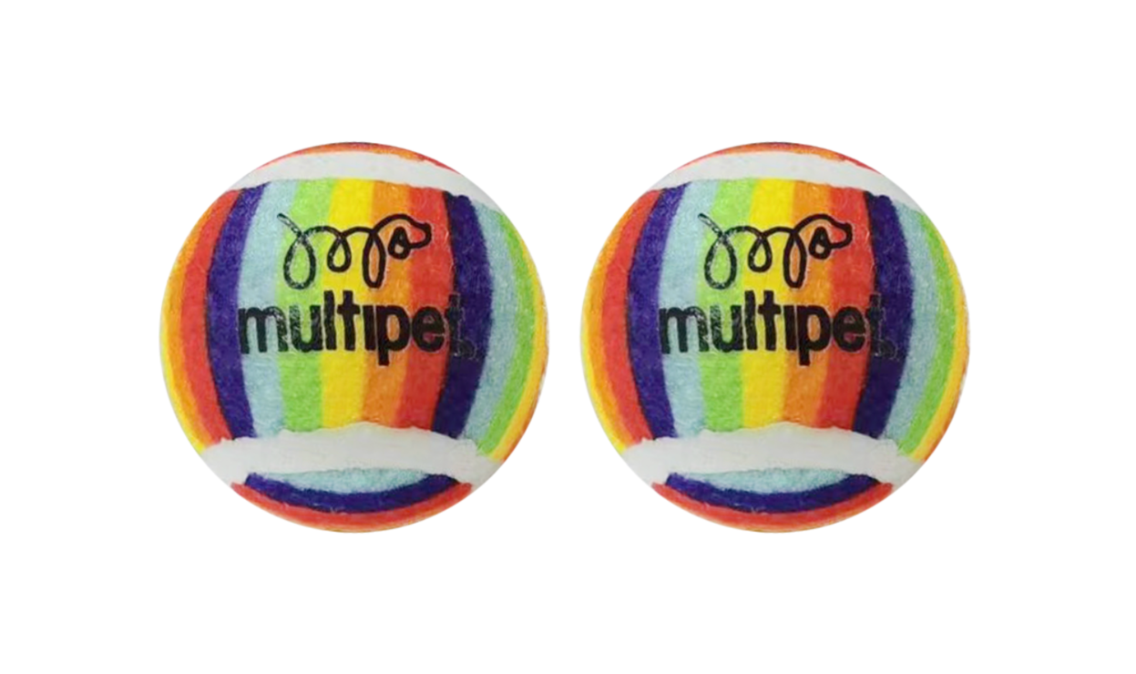 Rainbow Tennis Ball Dog Toy.