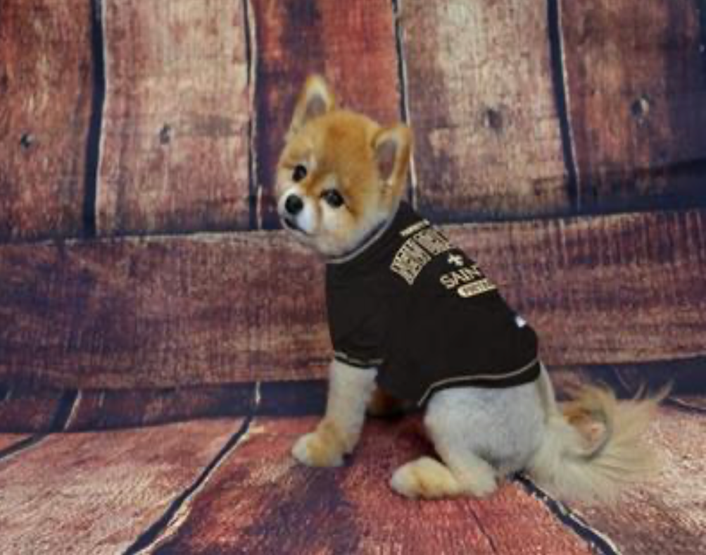 New Orleans Saints Dog Tee Shirt