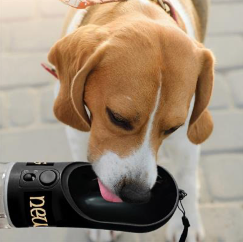 New Orleans Saints Pet Water Bottle