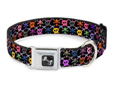 Skull & Fleur-de-Lis Black/Multi Color Buckle Down