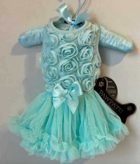 Aqua Floral Divs Dog Dress