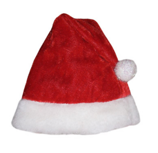 Santa Paws Hat