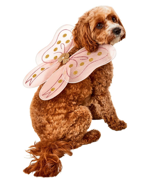 Fairy Wings Pet Costume for Dogs or Cats