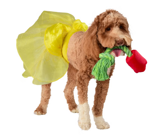 Beauty And the Beast Belle Pet Toy Bundle