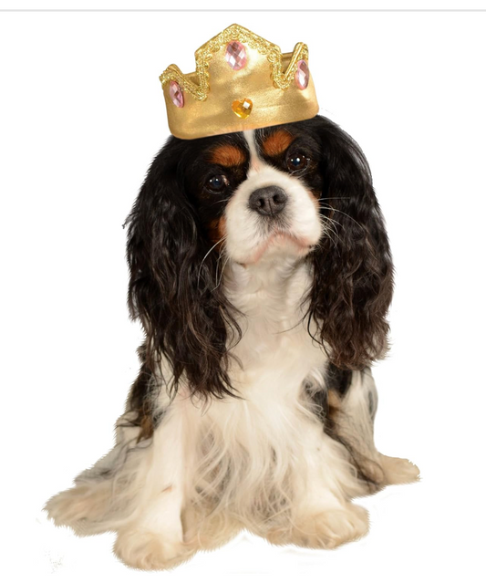 Pet Tiara With Stones