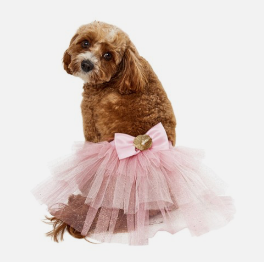 Birthday Fairy Tutu Pet Accessory