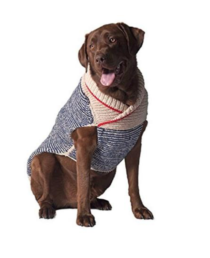 Spencer SweaterDog Sweater