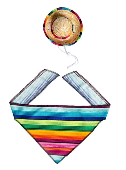 Sombrero and Serape Costume Pet Krewe
