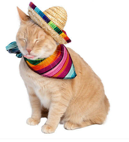 Sombrero and Serape Costume Pet Krewe