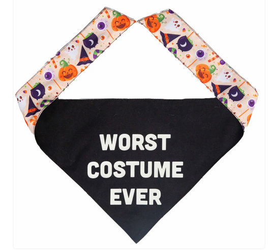 Worst Costume Ever Reversible