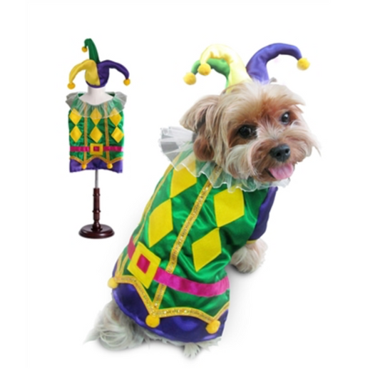 Harlequin Mardi Gras Costume