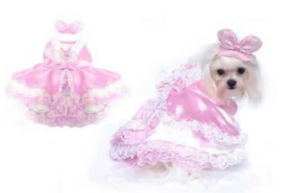 Barktoria Secret Puppy Love