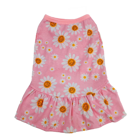 Daisy Flower Pink  Pet Dress