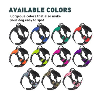 Co-Pilot Adjustable No Pull Dog Harness with Handle Dog Line