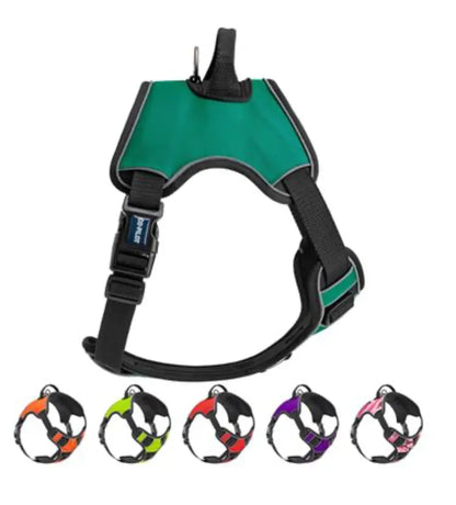 Co-Pilot Adjustable No Pull Dog Harness with Handle Dog Line