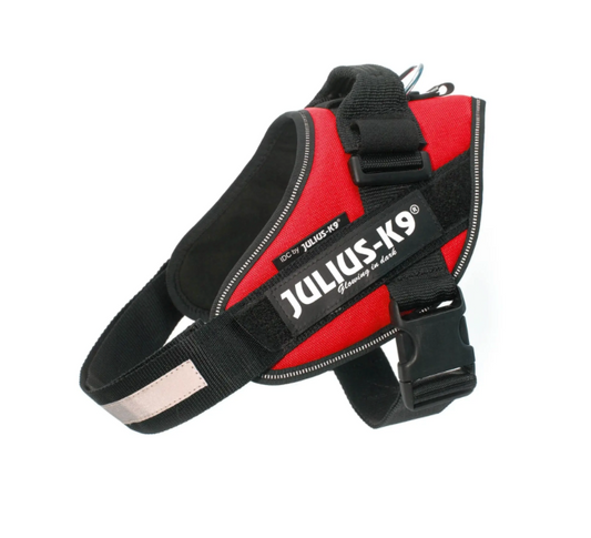 IDC Power Dog Harness