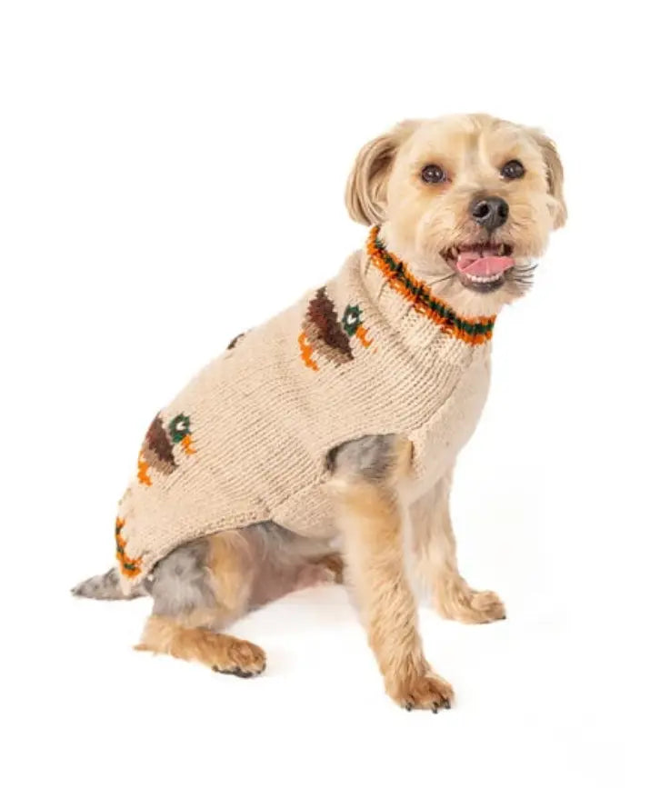 Lucky Duck Dog Sweater