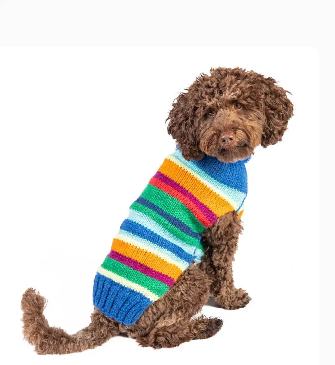 Alpaca Royal Stripe Dog Sweater