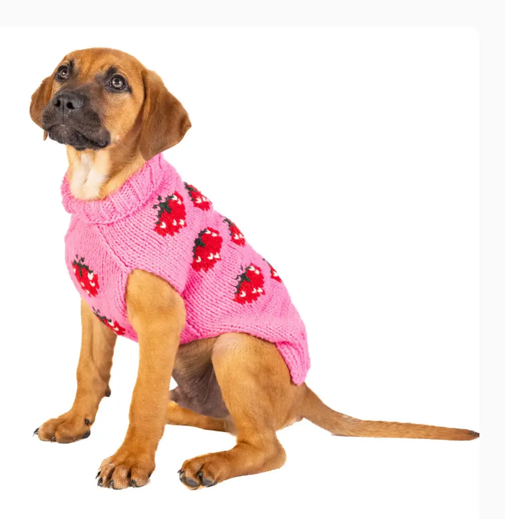 Strawberry Dog Sweater