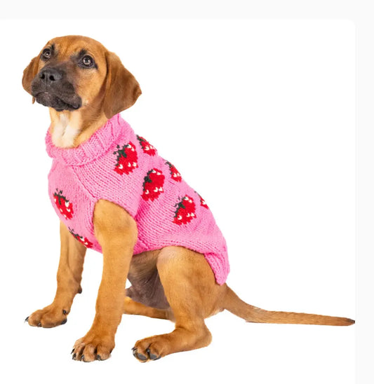 Strawberry Dog Sweater