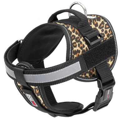 Unimax Multi-Purpose Pet Harness
