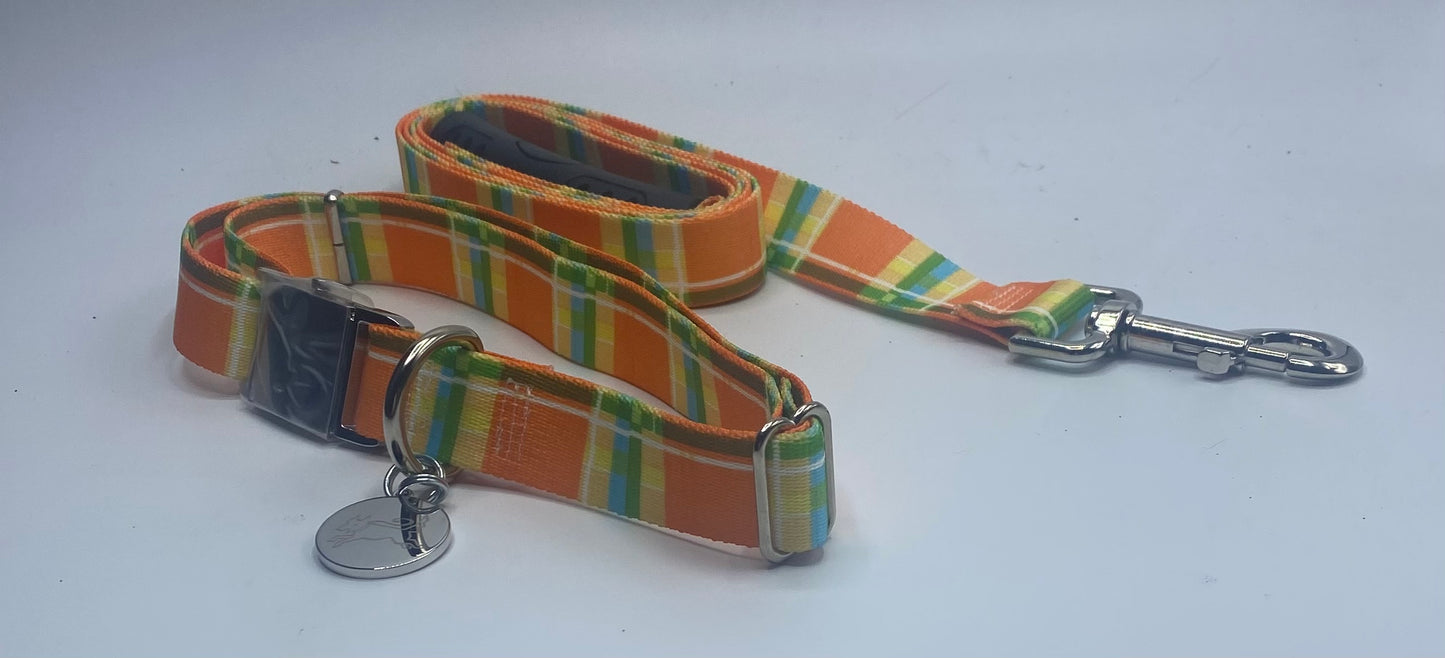 Madras Orange Dog Collar & Leads