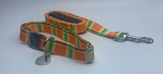 Madras Orange Dog Collar & Leads.