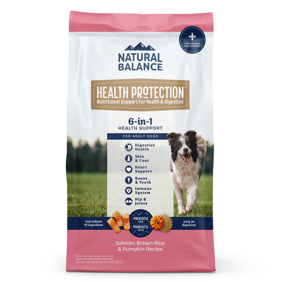 Natural Balance Pet Foods Health Protection Dry Dog Food Salmon, Brown Rice & Pumpkin, 4 lb