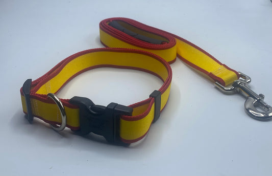 Red & Yellow Striped Sterling Dog Collar/Lead Collection.