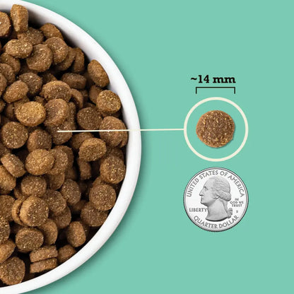 Acana Wholesome Grains - Lamb & Pumpkin Dog Food 4 lb Central Pet