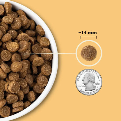 Acana Wholesome Grains -Free-Run Poultry Dog Food Central Pet